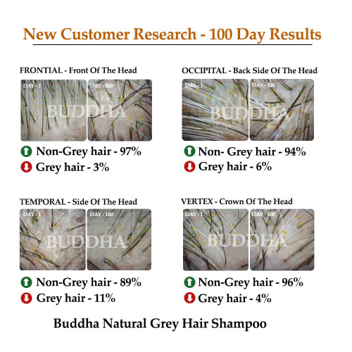 buddha natural grey hair shampoo 100 day result image