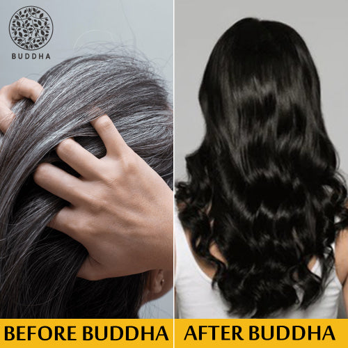 Buddha natural grye hair shampoo before after iamge